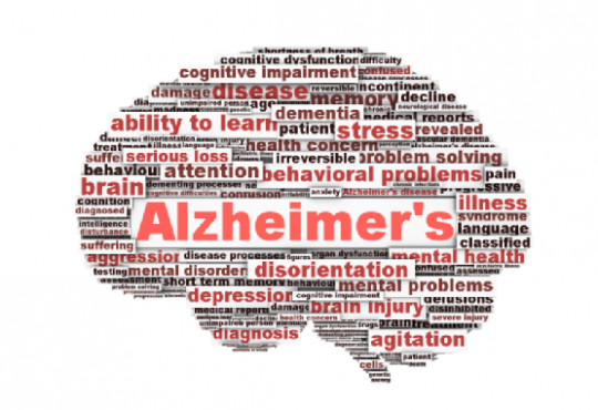 port neches tx alzheimer's support group